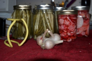 Pickled beans and Radishes